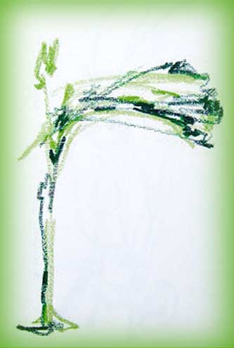 Illustration Michèle Iff - Der Baum im starken Wind